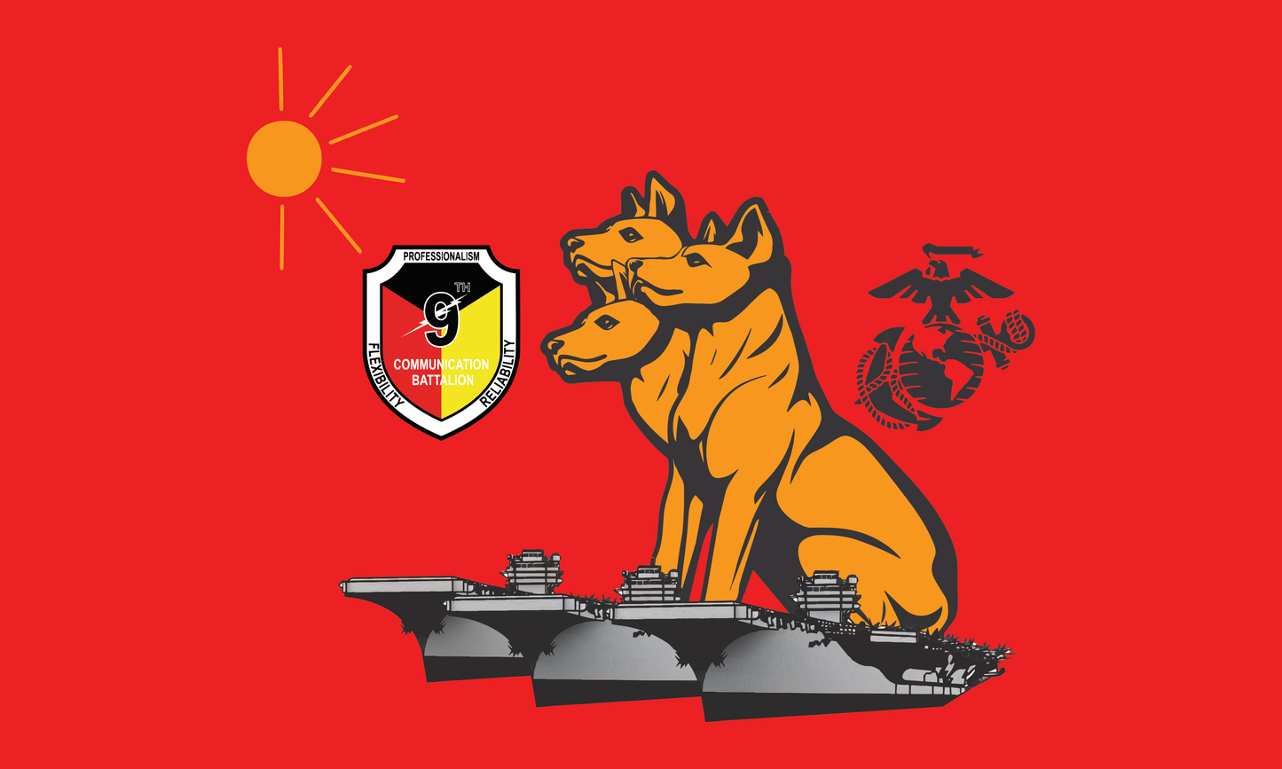 9th Comm Flags