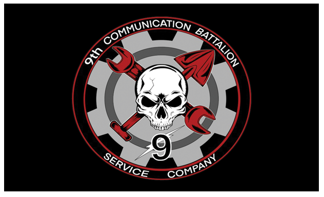 Service Company 9th Comm Flags
