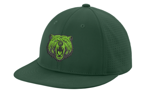 Bruisin Bears Embroidered Flex Fit Cap