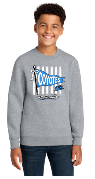 Coyotes Youth Heavy Blend Crewneck Sweatshirt