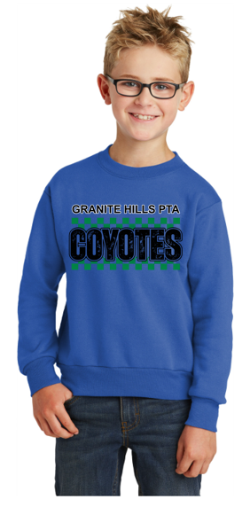 Coyotes V4 Youth Heavy Blend Crewneck Sweatshirt