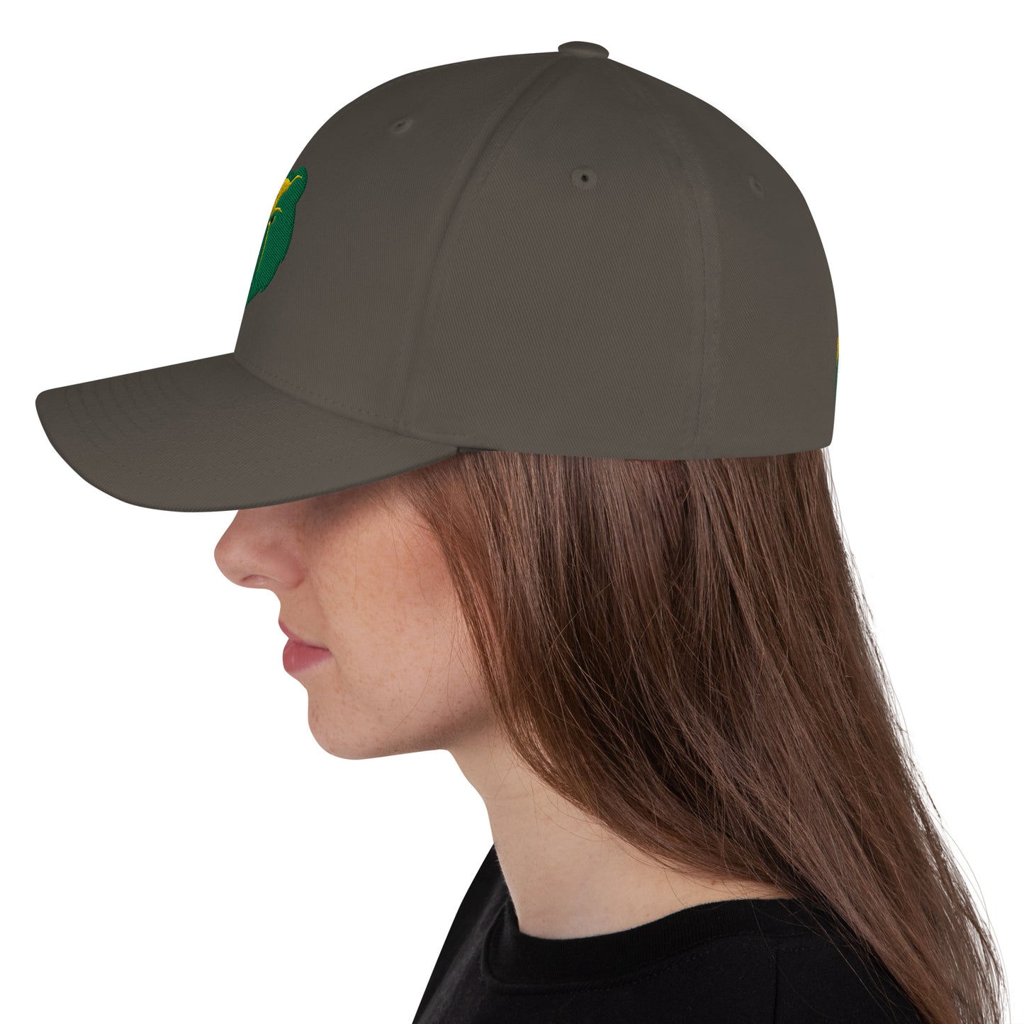 BB Structured Twill Cap