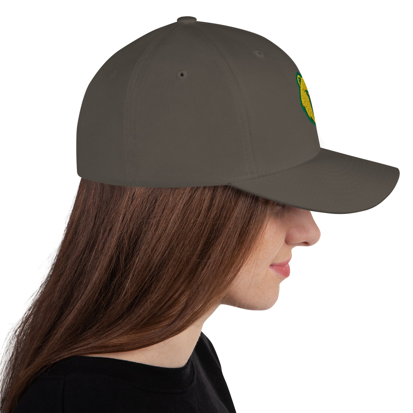 BB Structured Twill Cap